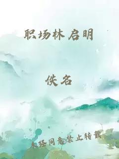 职场林启明