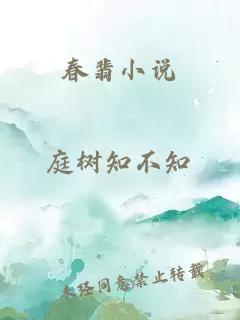 春翡小说