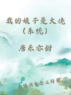 我的娘子是大佬（系统）