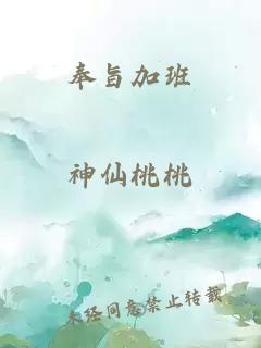 奉旨加班