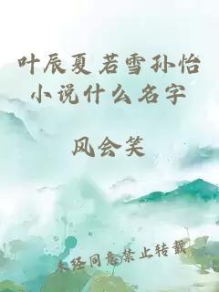 叶辰夏若雪孙怡小说什么名字