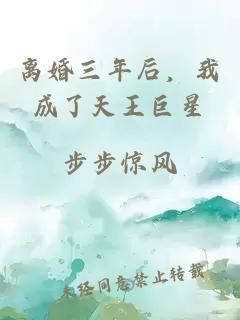 离婚三年后，我成了天王巨星