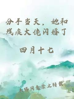 分手当天，她和残疾大佬闪婚了