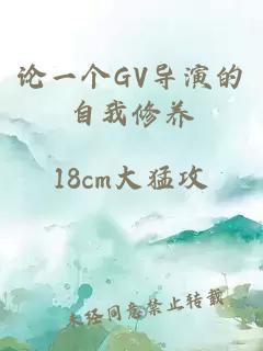 论一个GV导演的自我修养