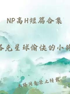 NP高H短篇合集