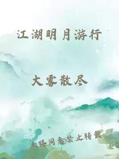 江湖明月游行