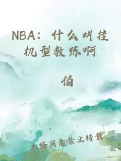 NBA：什么叫挂机型教练啊