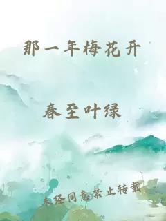 那一年梅花开